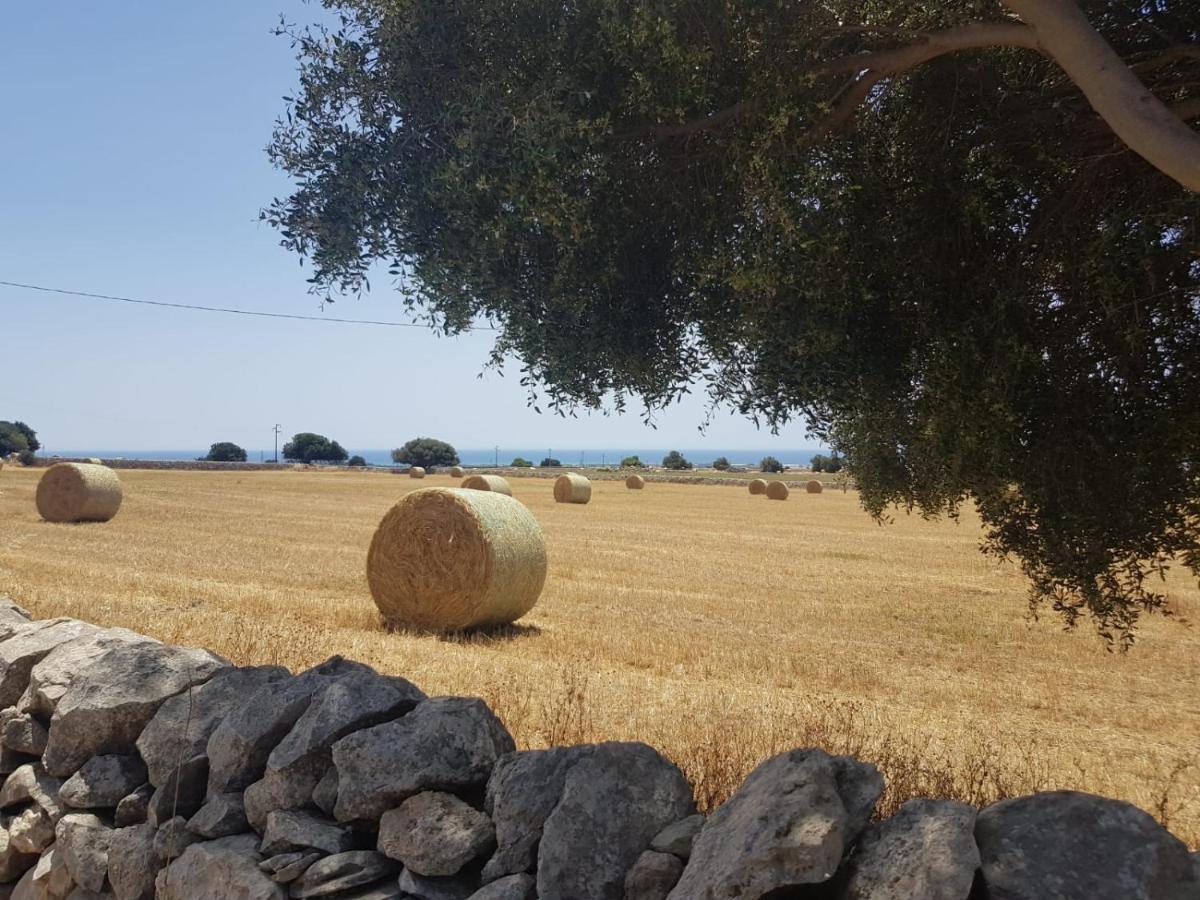 Homidoo Carrubo Διαμέρισμα Santa Croce Camerina Εξωτερικό φωτογραφία